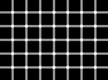 www.kraftfuttermischwerk.de/blog/black_dots_illusion_1.jpg