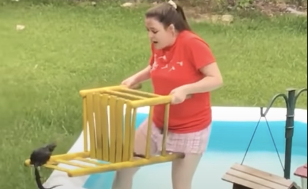 Einem Hörnchen aus dem Pool helfen – Das Kraftfuttermischwerk
