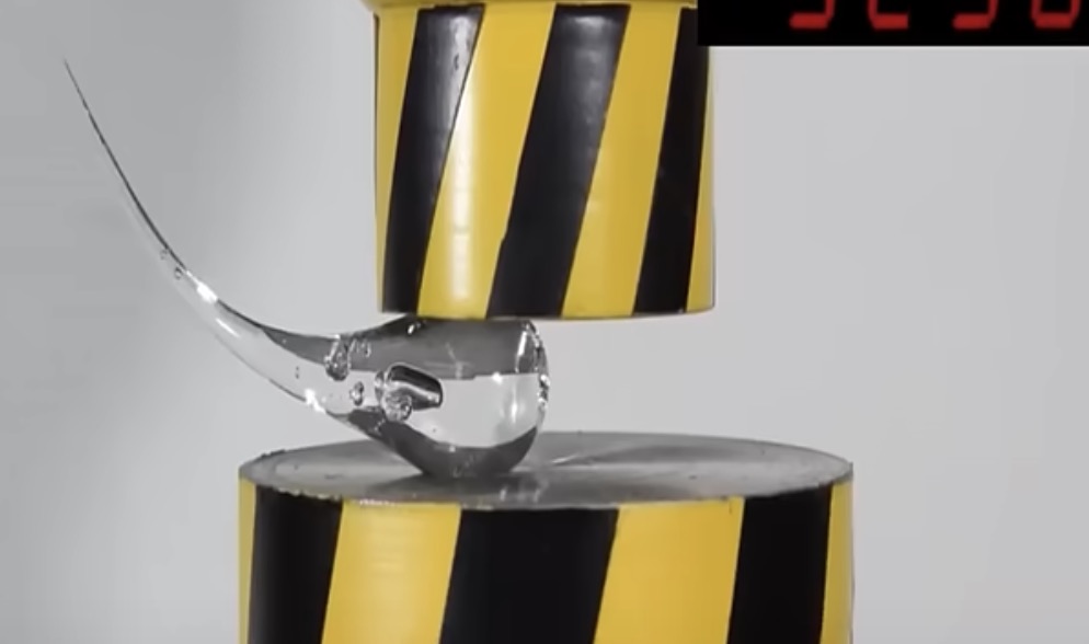 Bologneser Träne vs Hydraulikpresse